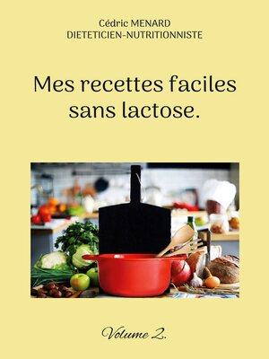 cover image of Mes recettes faciles sans lactose.